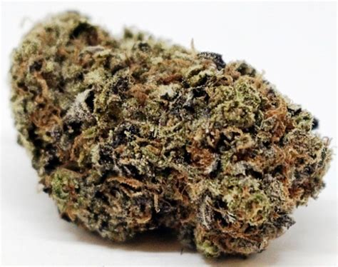 versace cannabis|Versace Weed Strain Information .